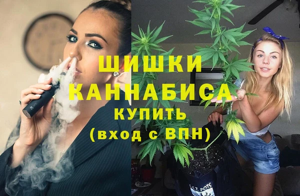 дживик Арсеньев